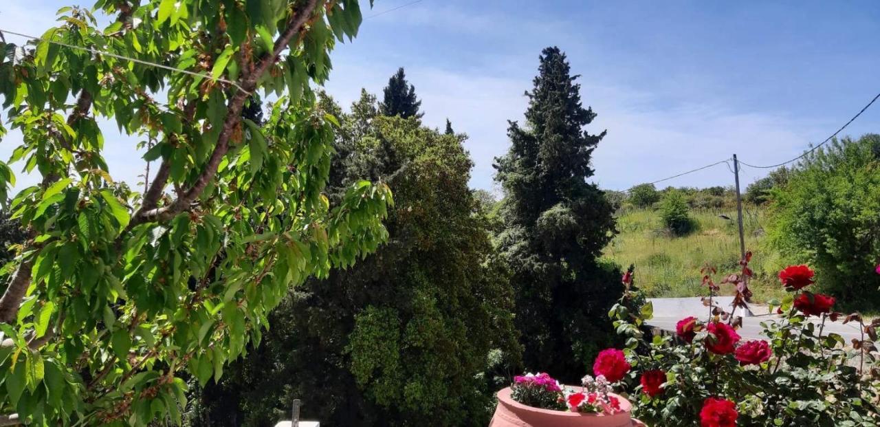 Green View Apartment Ágios Pétros Bagian luar foto