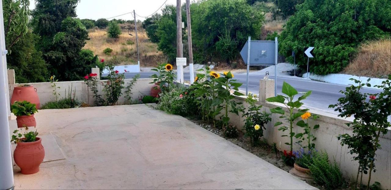 Green View Apartment Ágios Pétros Bagian luar foto